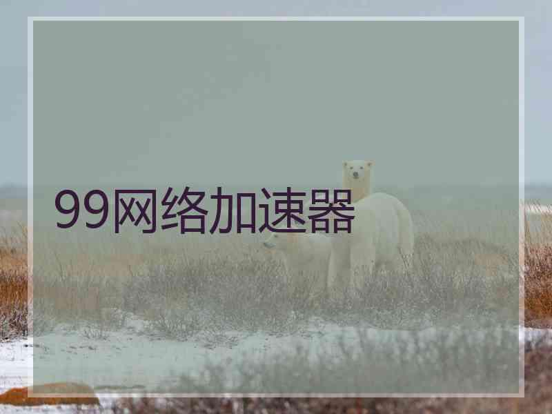 99网络加速器