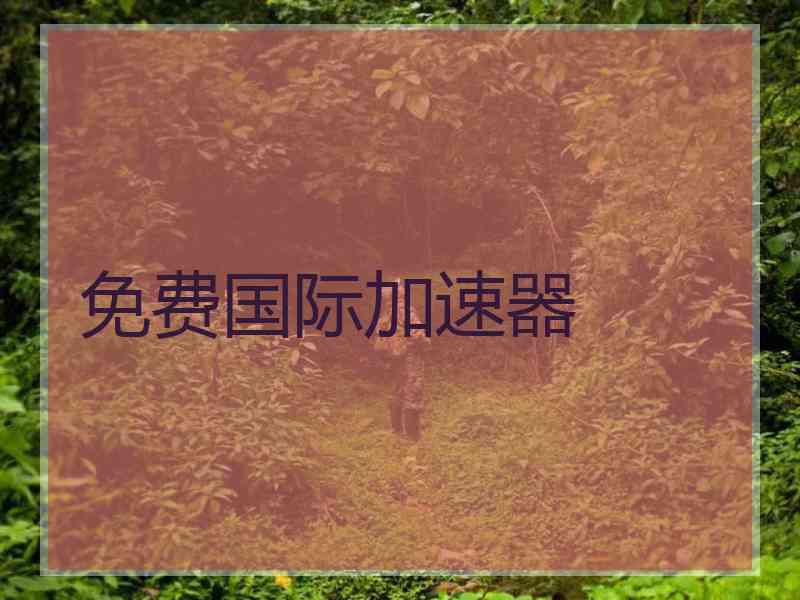 免费国际加速器