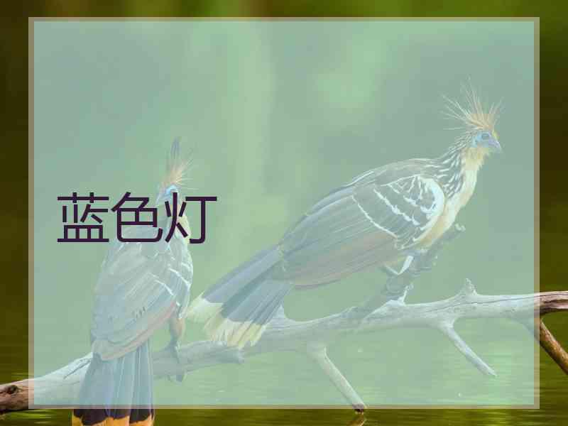 蓝色灯