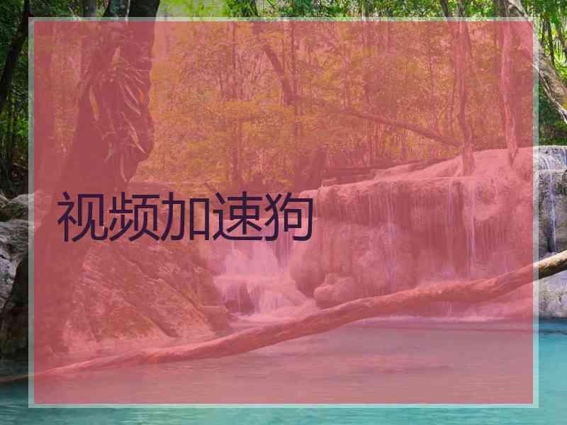 视频加速狗