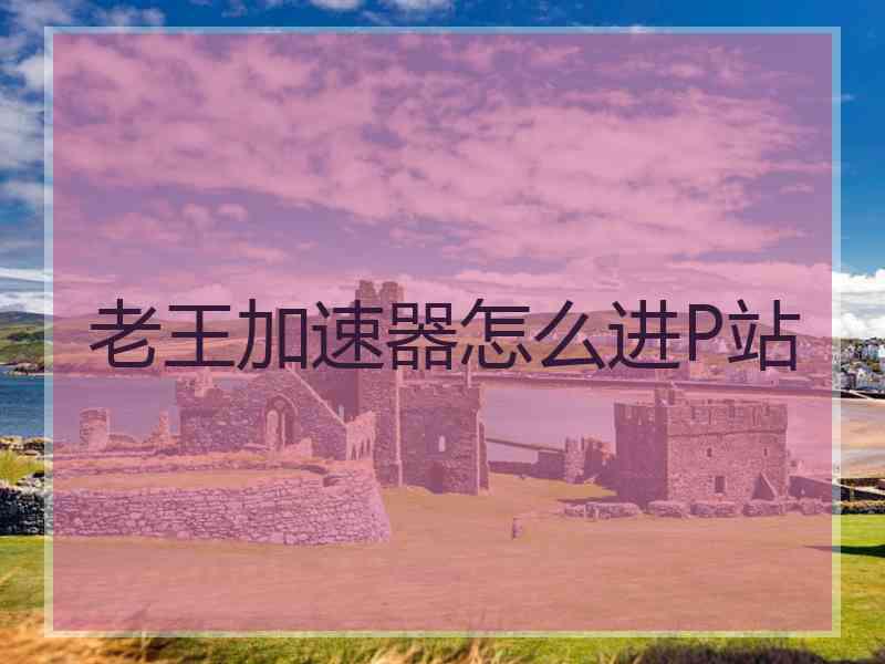 老王加速器怎么进P站