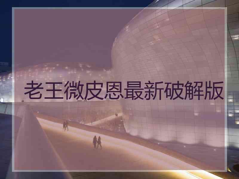 老王微皮恩最新破解版