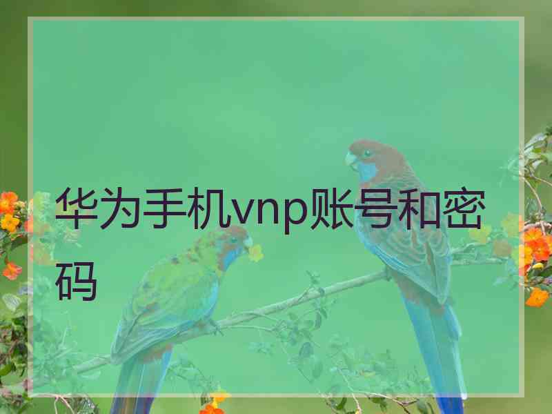 华为手机vnp账号和密码