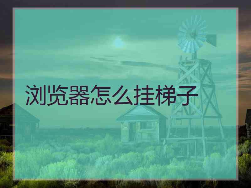 浏览器怎么挂梯子