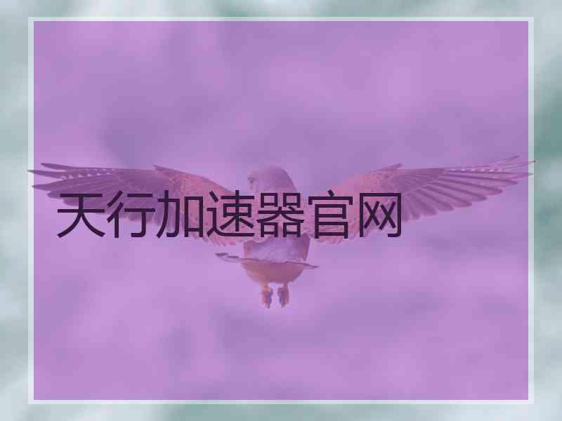天行加速器官网