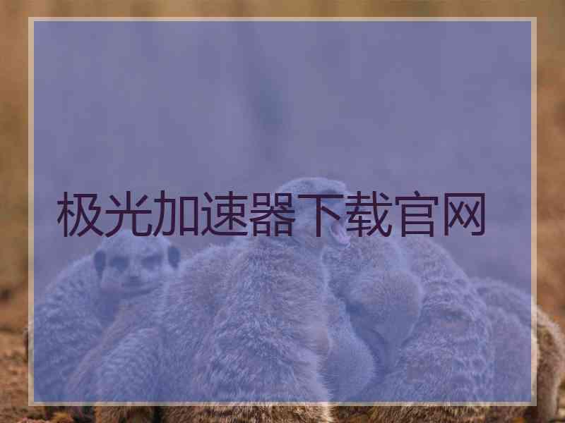 极光加速器下载官网
