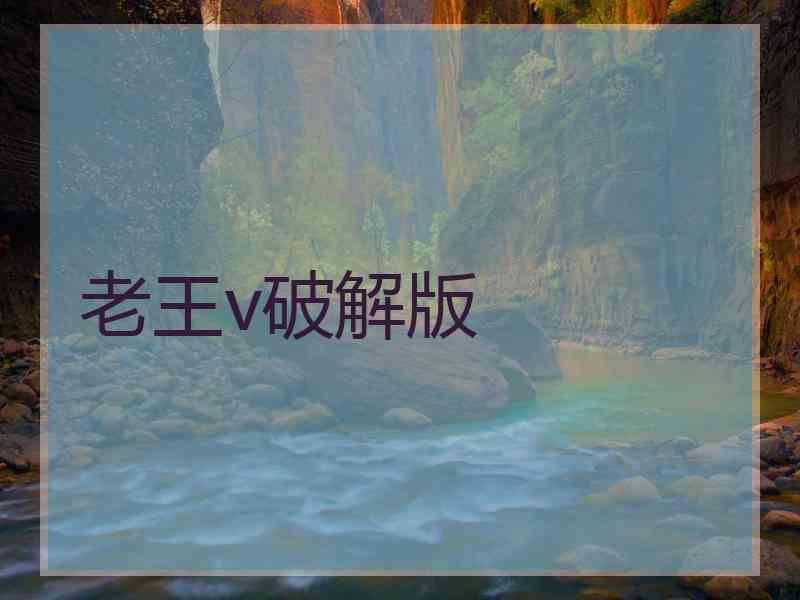 老王v破解版