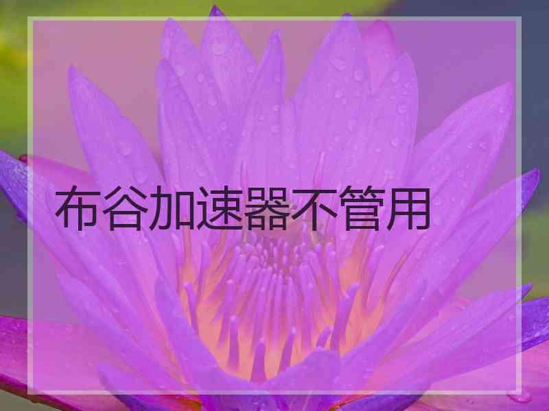 布谷加速器不管用