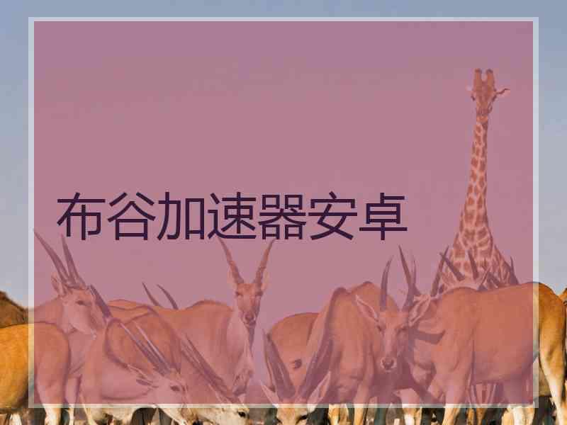 布谷加速器安卓
