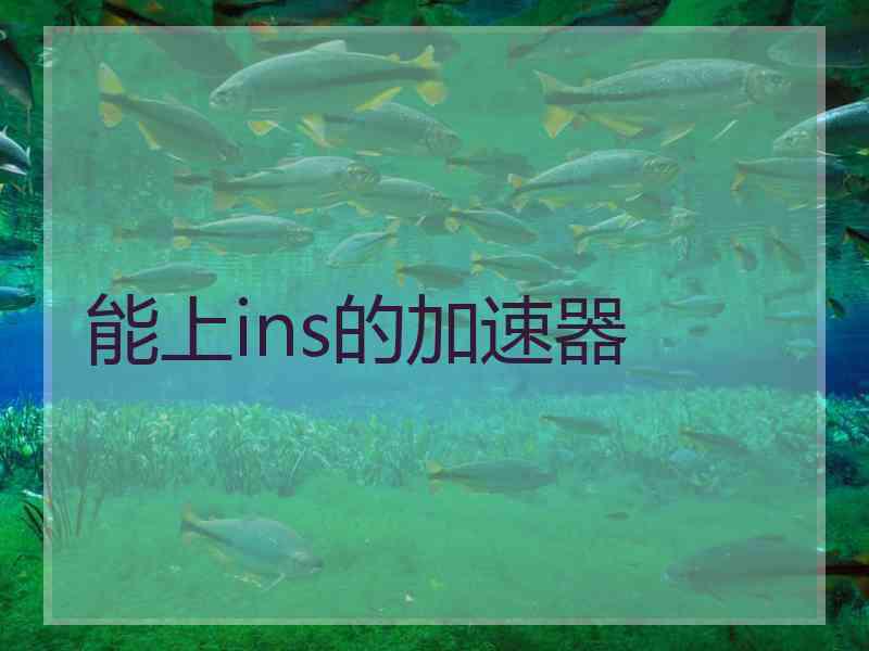 能上ins的加速器