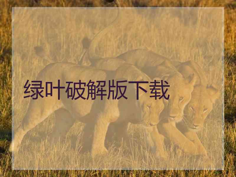 绿叶破解版下载