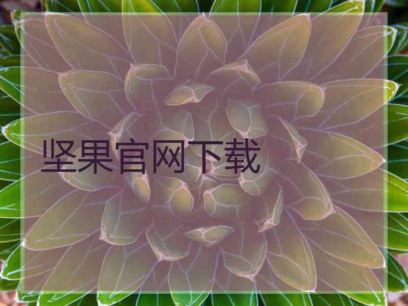 坚果官网下载