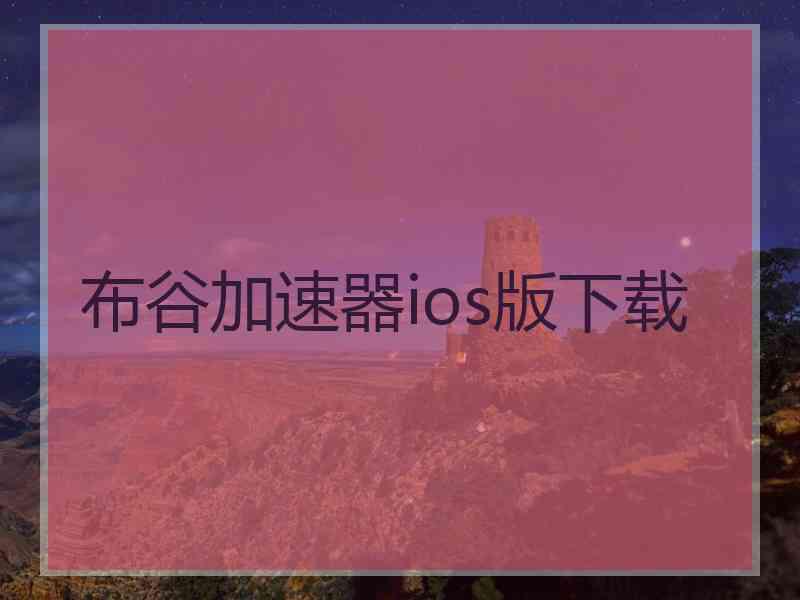 布谷加速器ios版下载
