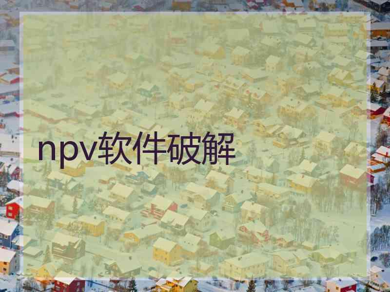 npv软件破解