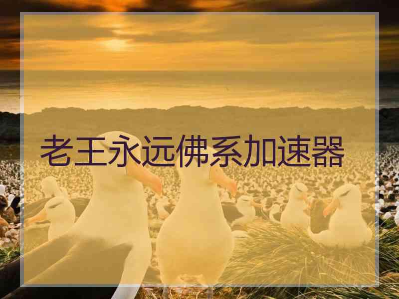 老王永远佛系加速器