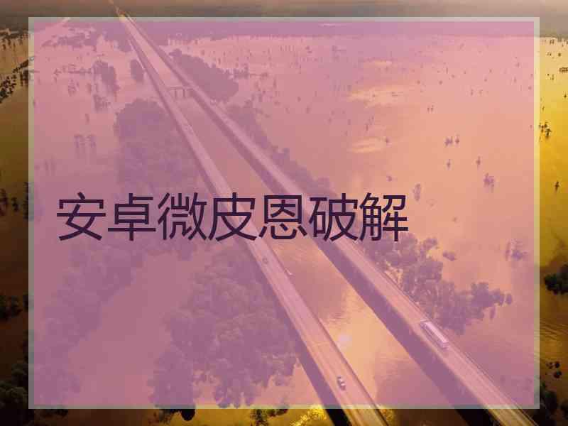 安卓微皮恩破解