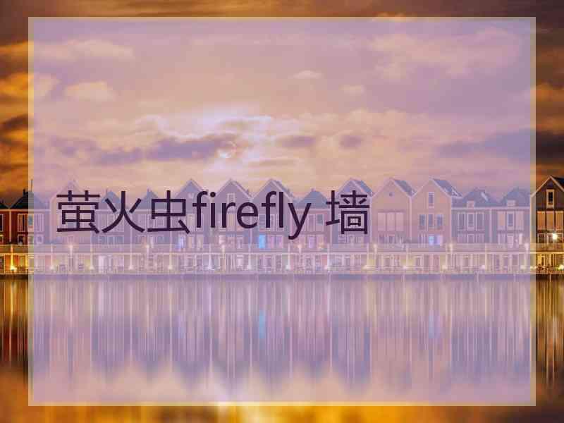 萤火虫firefly 墙