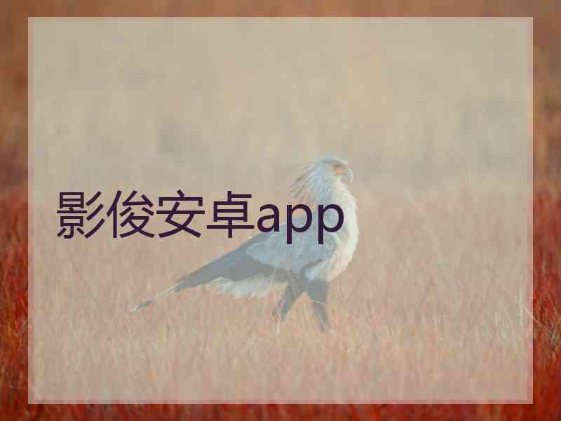 影俊安卓app