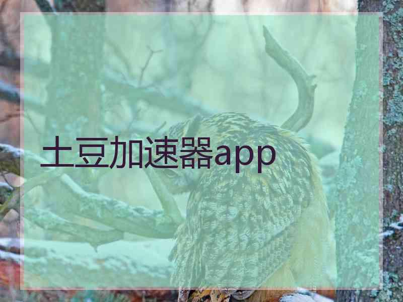 土豆加速器app