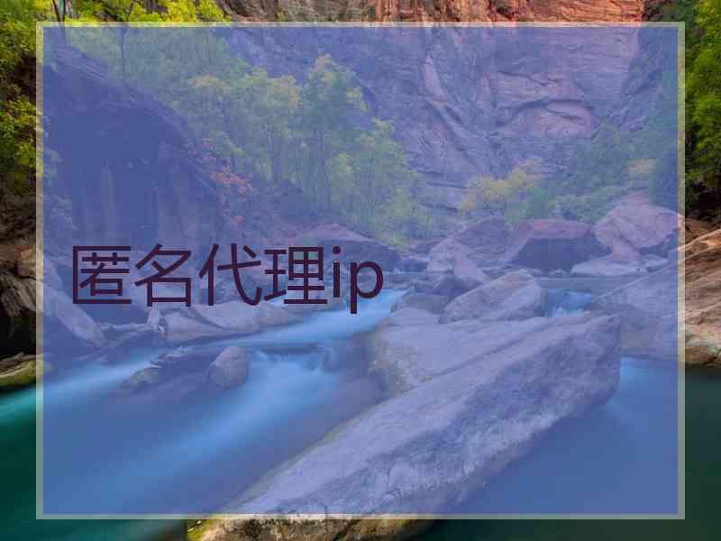 匿名代理ip