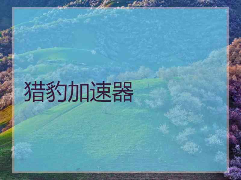 猎豹加速器