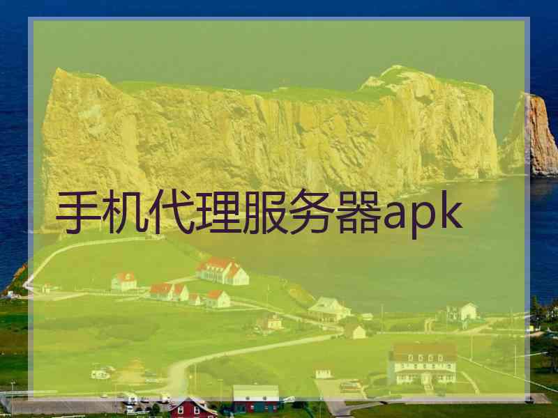 手机代理服务器apk