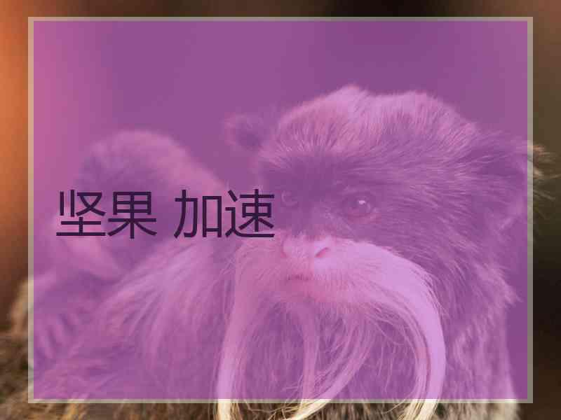 坚果 加速