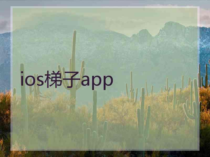 ios梯子app