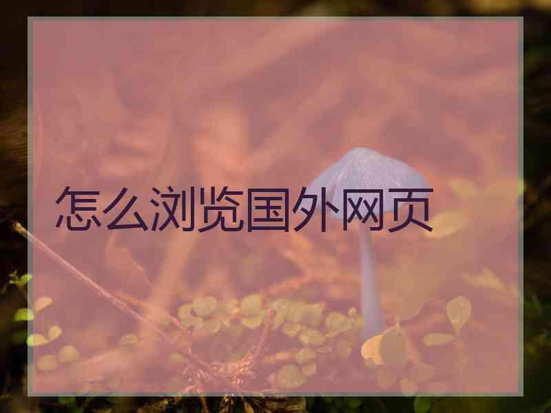 怎么浏览国外网页