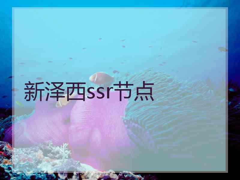 新泽西ssr节点