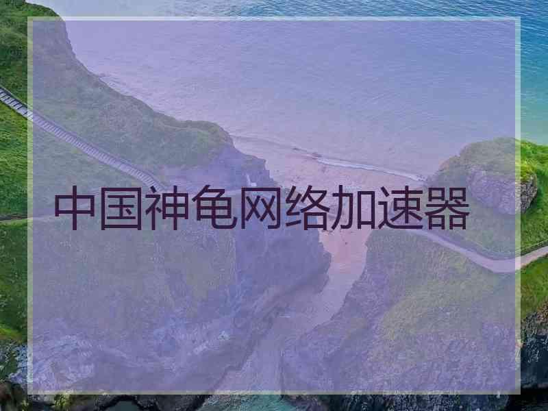 中国神龟网络加速器