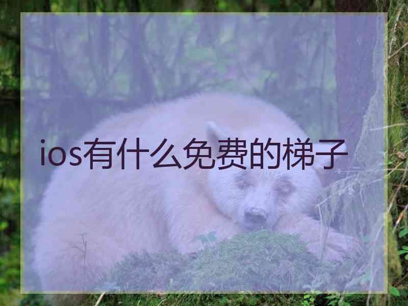 ios有什么免费的梯子