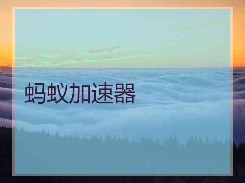 蚂蚁加速器
