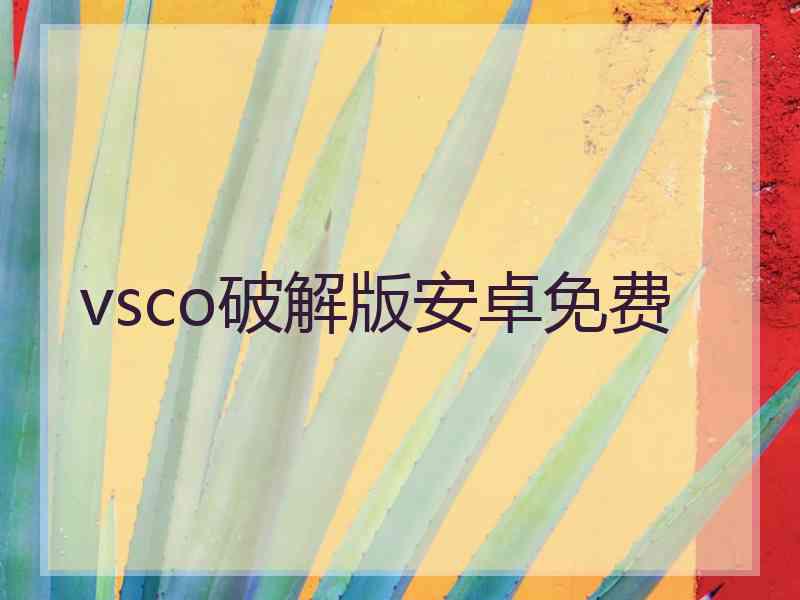 vsco破解版安卓免费