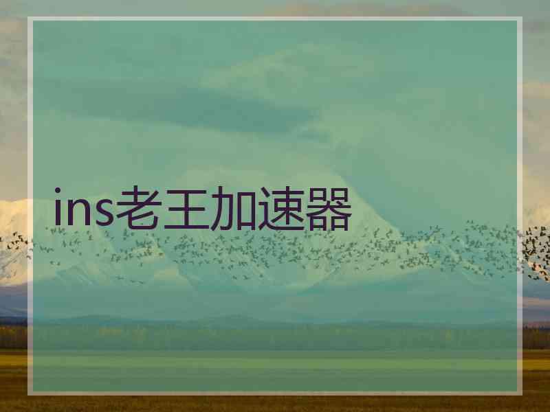 ins老王加速器