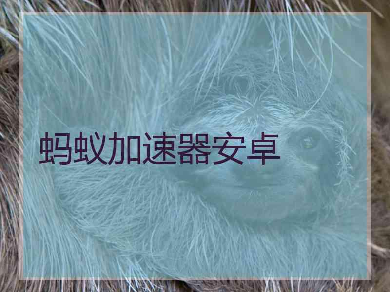 蚂蚁加速器安卓
