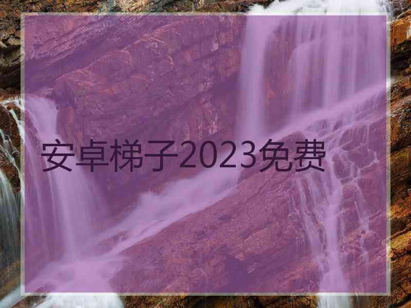 安卓梯子2023免费