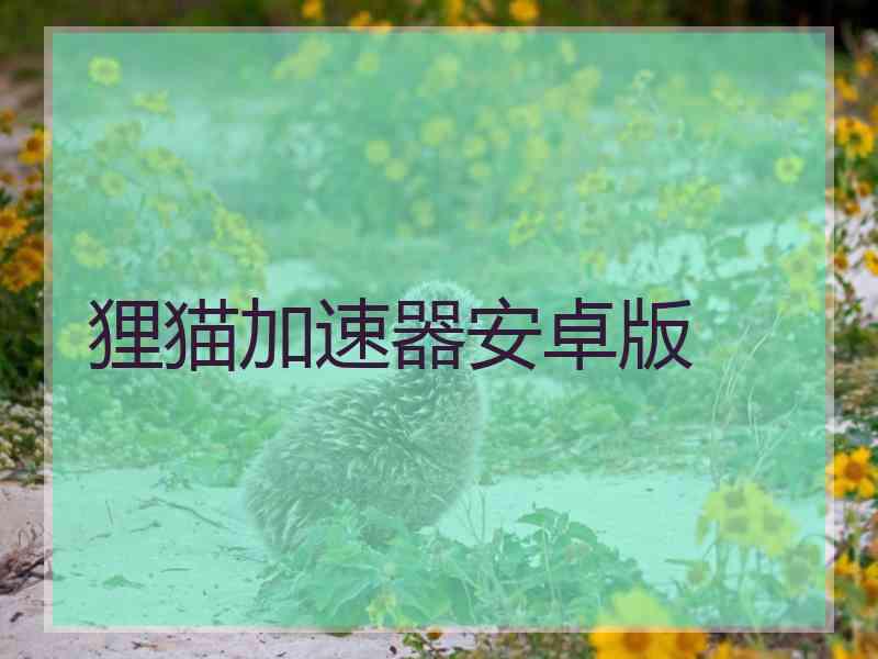 狸猫加速器安卓版