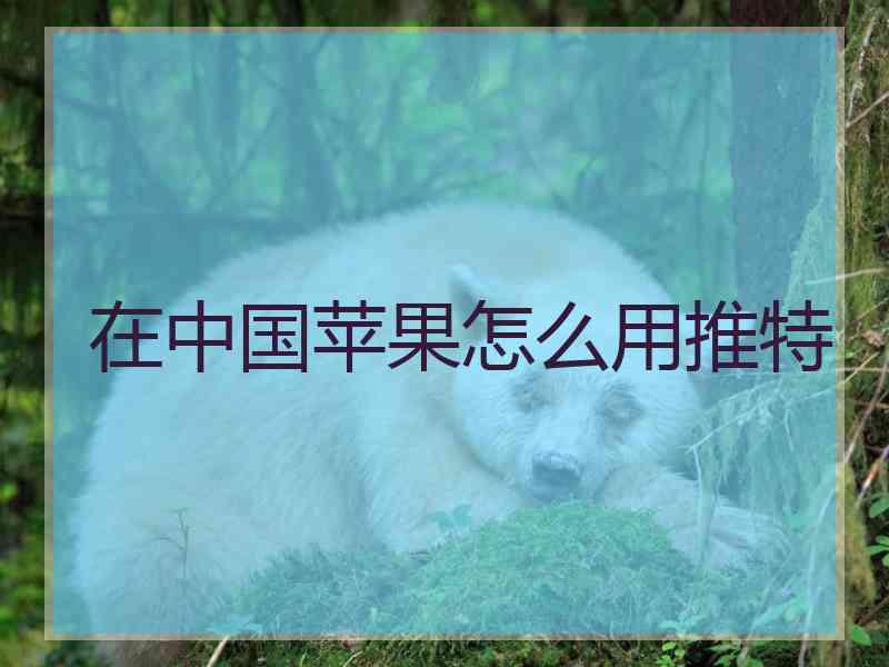 在中国苹果怎么用推特