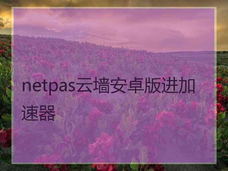 netpas云墙安卓版进加速器