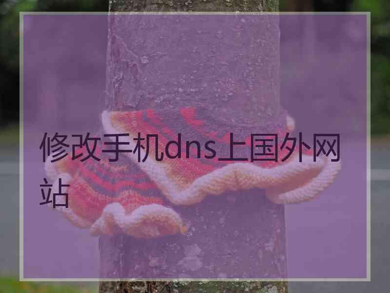 修改手机dns上国外网站