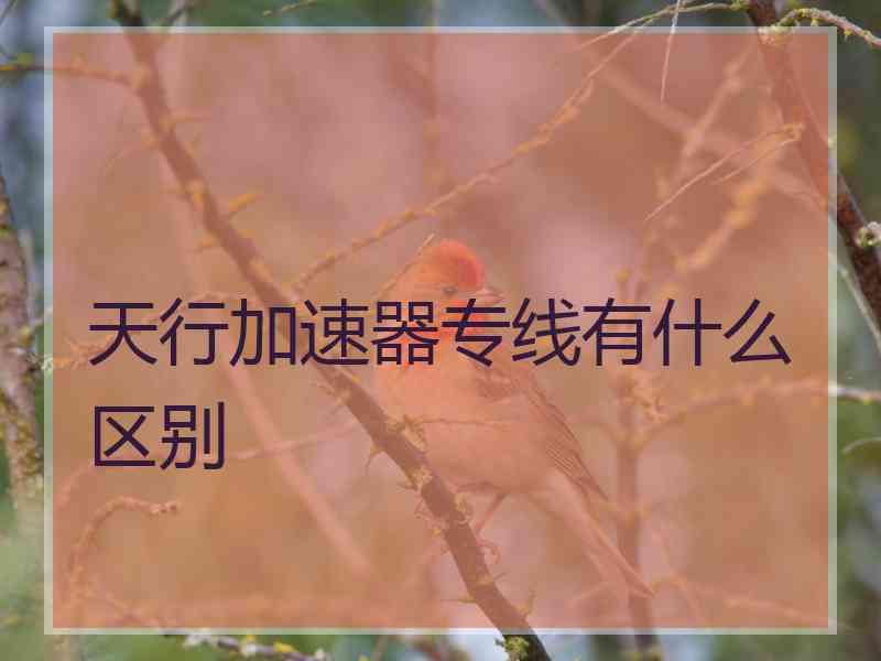 天行加速器专线有什么区别