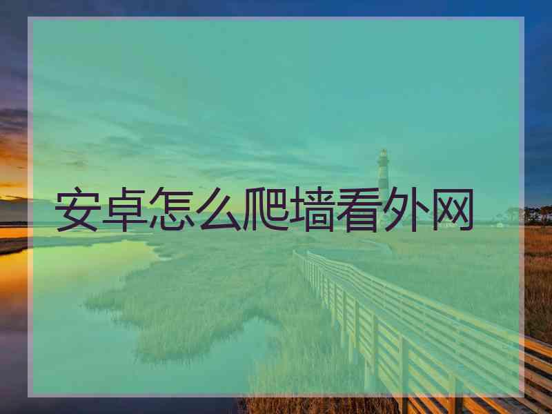 安卓怎么爬墙看外网