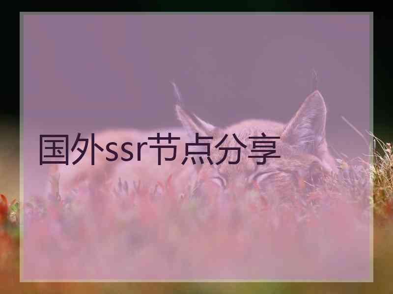 国外ssr节点分享