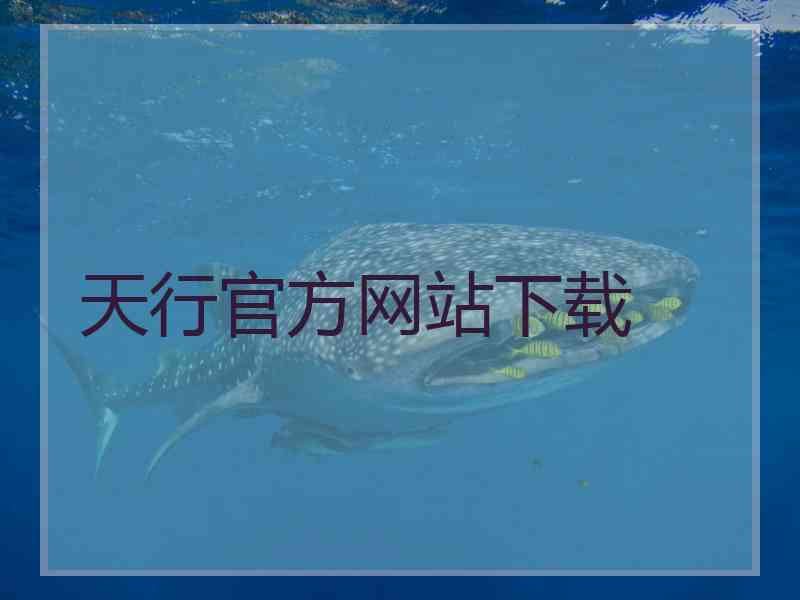 天行官方网站下载