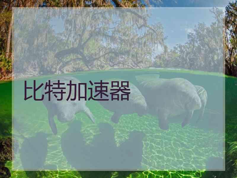 比特加速器