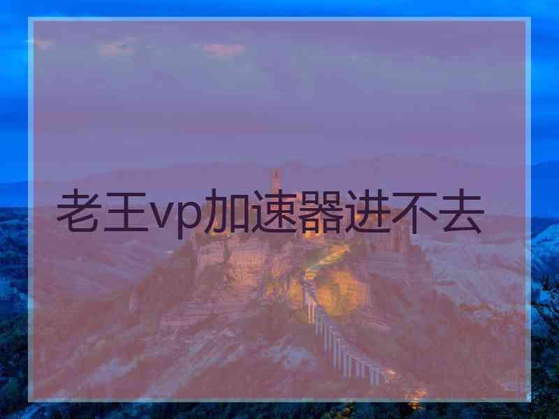 老王vp加速器进不去
