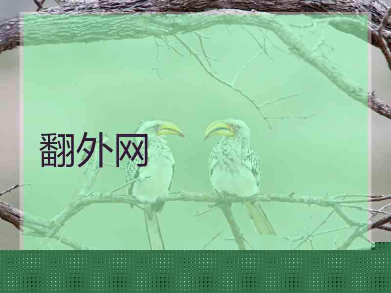 翻外网