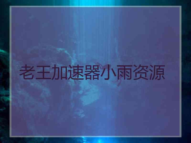 老王加速器小雨资源