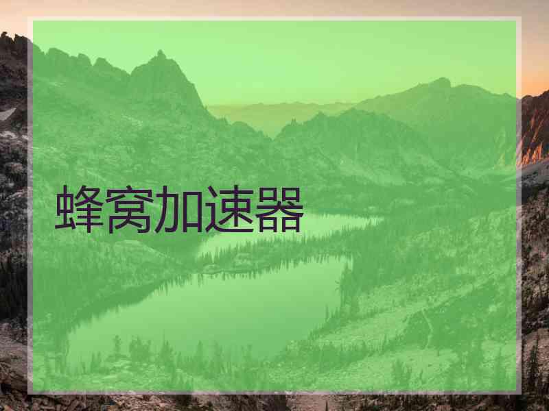 蜂窝加速器